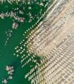 新疆阿勒泰：戈壁滩上育树苗 中水回用助力绿化工程